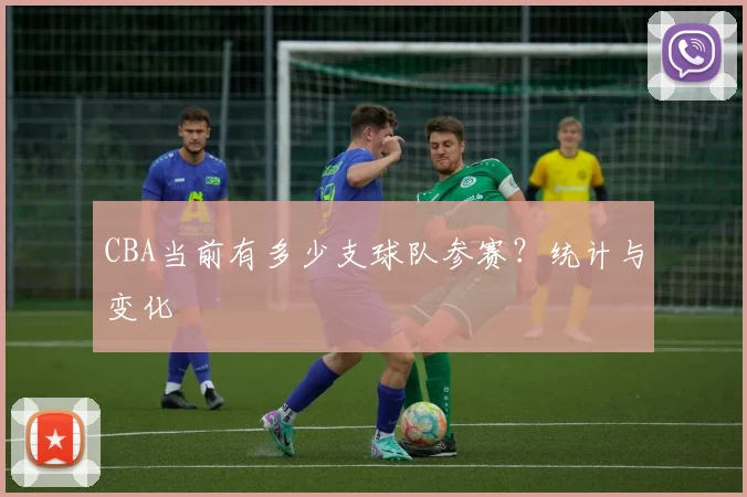 CBA当前有多少支球队参赛？统计与变化