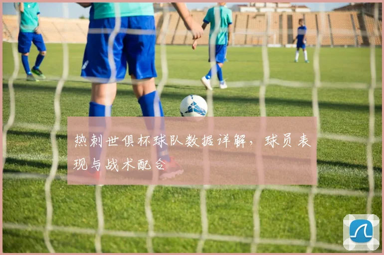 热刺世俱杯球队数据详解，球员表现与战术配合