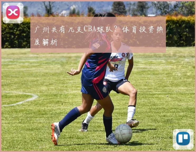 广州共有几支CBA球队？体育投资热度解析