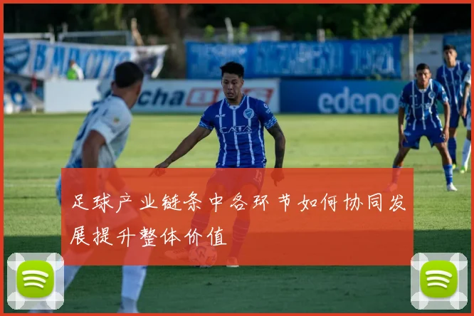 足球产业链条中各环节如何协同发展提升整体价值