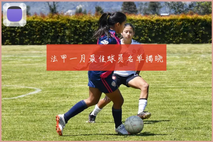 法甲一月最佳球员名单揭晓