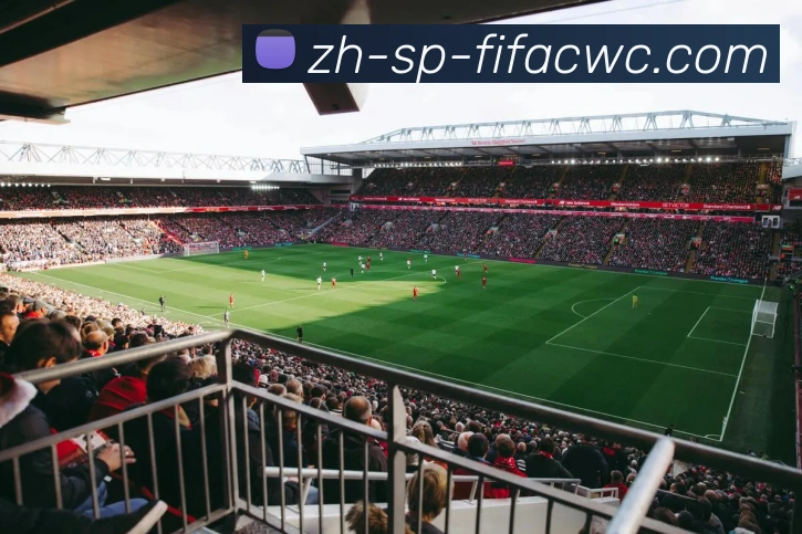 世界杯在线观看发展历程