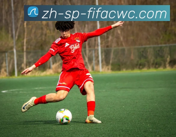 2017年火箭队球员年薪数据统计与比较