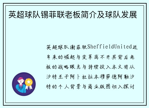 英超球队锡菲联老板简介及球队发展